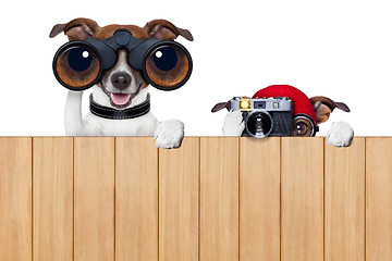 Image showing two nosy dogs 