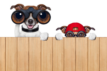 Image showing two nosy dogs 