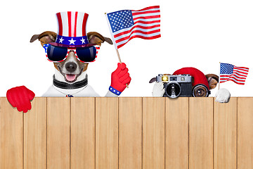 Image showing american dogs