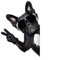 Image showing Cool french bulldog