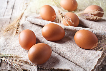 Image showing  fresh brown eggs and wheat ears 