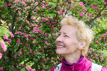 Image showing Portrait of a woman in a blossoming hawthorn