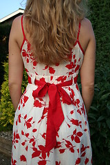 Image showing Beautiful dress