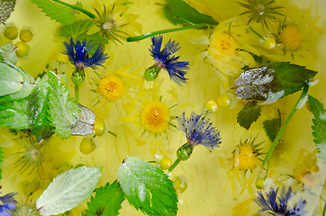 Image showing background of picked cornflower mint leaf in water 