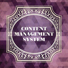 Image showing Content Management System. Vintage design.