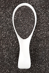 Image showing Chia Seed