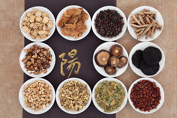 Image showing Yang Herbs
