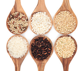 Image showing Rice Varieties