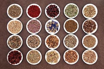 Image showing Natural Herbal Medicine