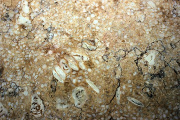 Image showing marble background