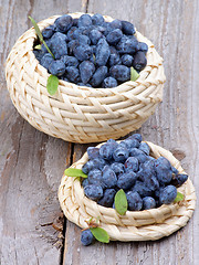 Image showing Honeysuckle Berries