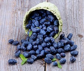 Image showing Honeysuckle Berries