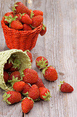 Image showing Forest Strawberries