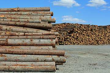 Image showing Lumber Yard