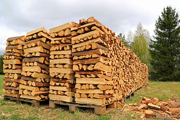 Image showing Chopped and Stacked Firewood on a Field