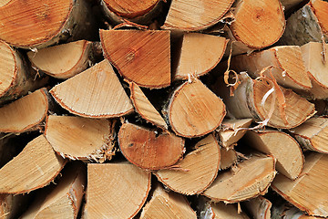 Image showing Chopped Birch Logs for Firewood