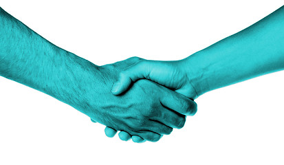 Image showing Shaking hands of two people, male and female