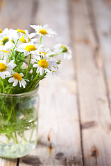 Image showing chamomile bouquet in jar 