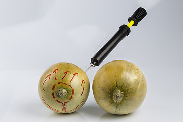 Image showing Melons and bicycle pump