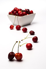 Image showing Bowl of Cherries on white background