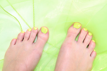 Image showing womens legs with nice nails (pedicure)