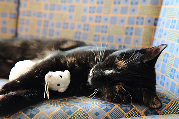 Image showing young black cat and white mouse toy 