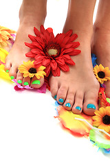 Image showing womens legs with nice nails (pedicure)