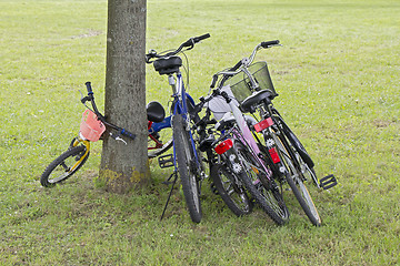 Image showing Bicycles leaning against the tree