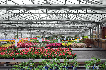 Image showing Greenhouse