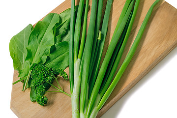 Image showing Green onions, parsley and sorrel on a white background