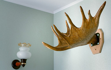 Image showing Trophy of the hunter - a horn of an elk. It is presented as an i