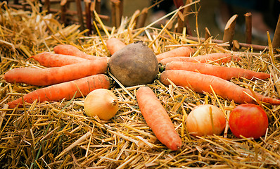 Image showing The vegetables located for sale at fair.