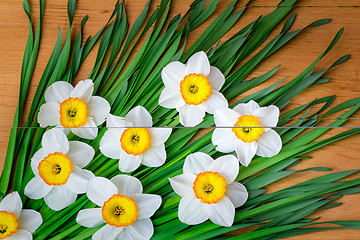 Image showing Large blossoming narcissuses on a table.