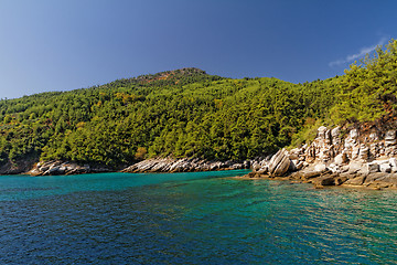 Image showing Green island