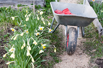 Image showing gardening works