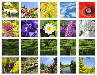 Image showing flower collage