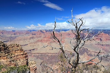 Image showing Grand Canyon