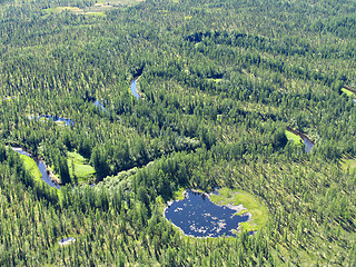 Image showing Meandering river