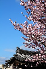 Image showing Kyoto