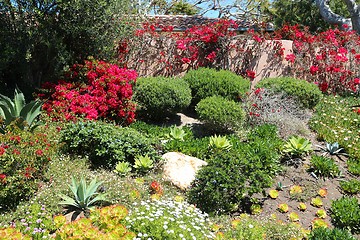 Image showing Garden in Malibu