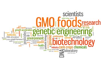 Image showing Genetic food engineering