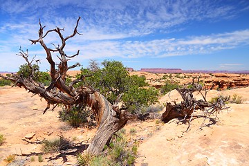 Image showing Utah