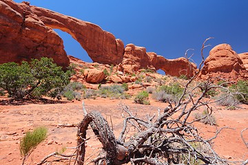 Image showing Arches National Park