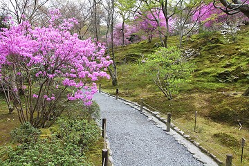 Image showing Japanese garden