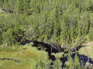 Image showing Aerial view on siberian taiga  landscape