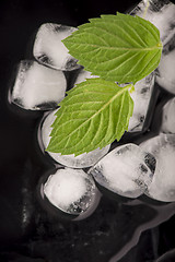 Image showing Ice and mint