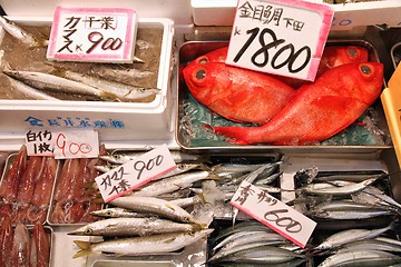 Image showing Japan fish market