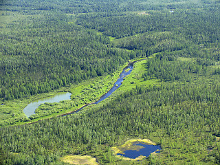 Image showing Siberian taiga  landscape