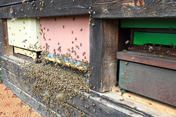 Image showing detail of bee hive 