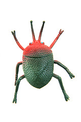 Image showing plastic beetle toy (bug)